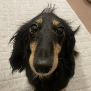 �̂�